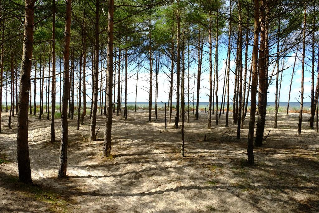 Dwor W Bychowie Гневіно Екстер'єр фото