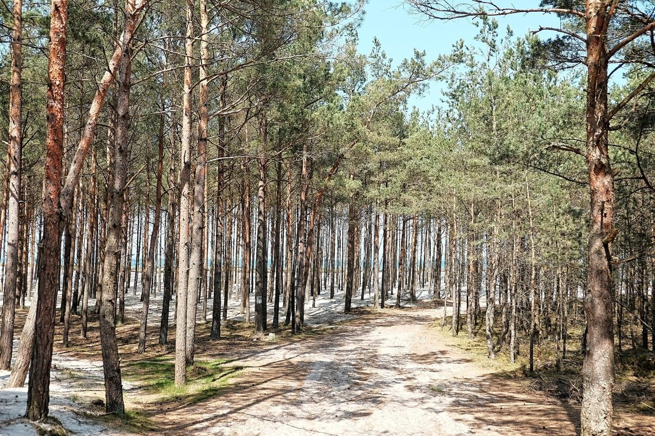 Dwor W Bychowie Гневіно Екстер'єр фото